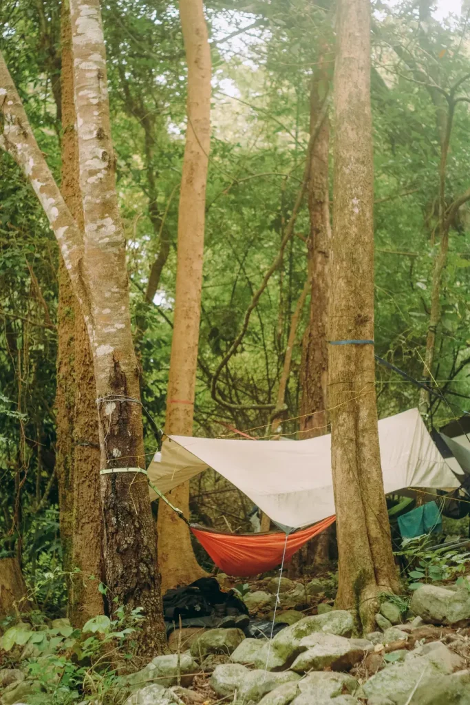 sleeping in hammock while camping