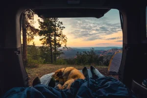 car camping without danger